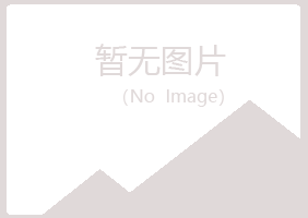 山东女孩能源有限公司